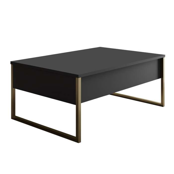 Hanah Home Luxe Mesa de Centro Antracita y Dorado